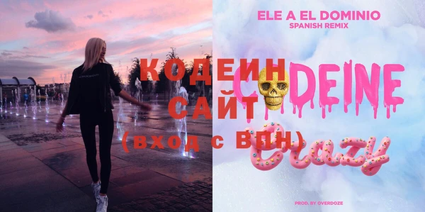 индика Покровск
