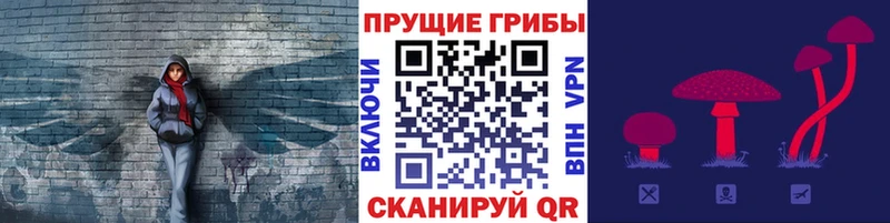 закладки  Шали  Галлюциногенные грибы мицелий 