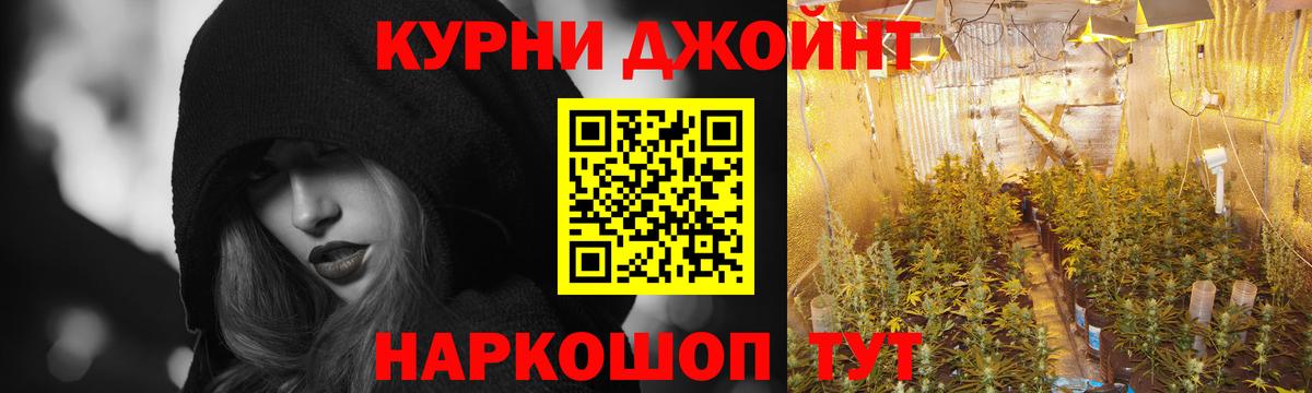 Каннабис гибрид Шали